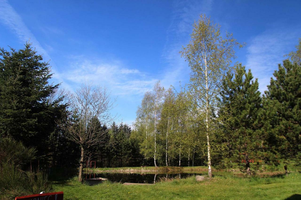 Villa Hlebowka Siedlisko W Sudetach Lubawka Exterior foto