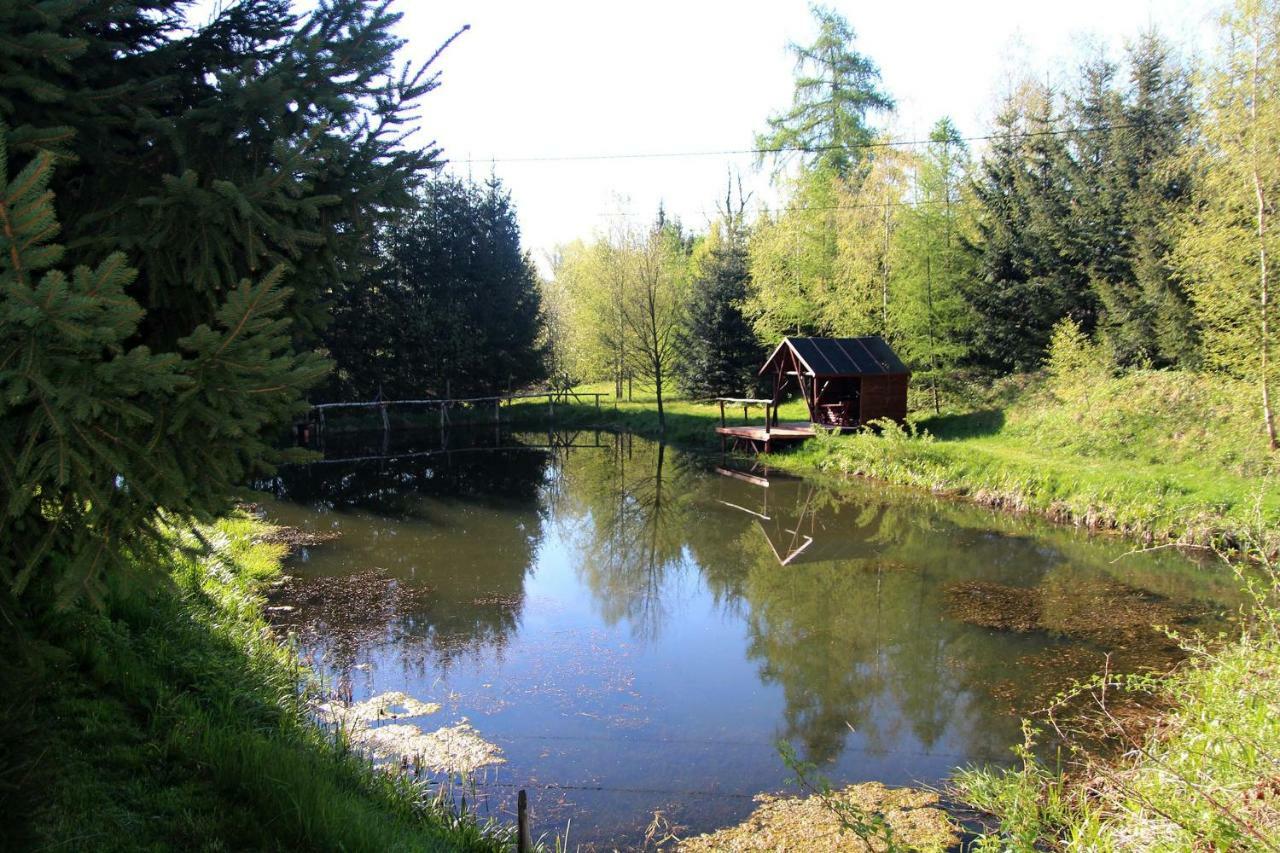 Villa Hlebowka Siedlisko W Sudetach Lubawka Exterior foto
